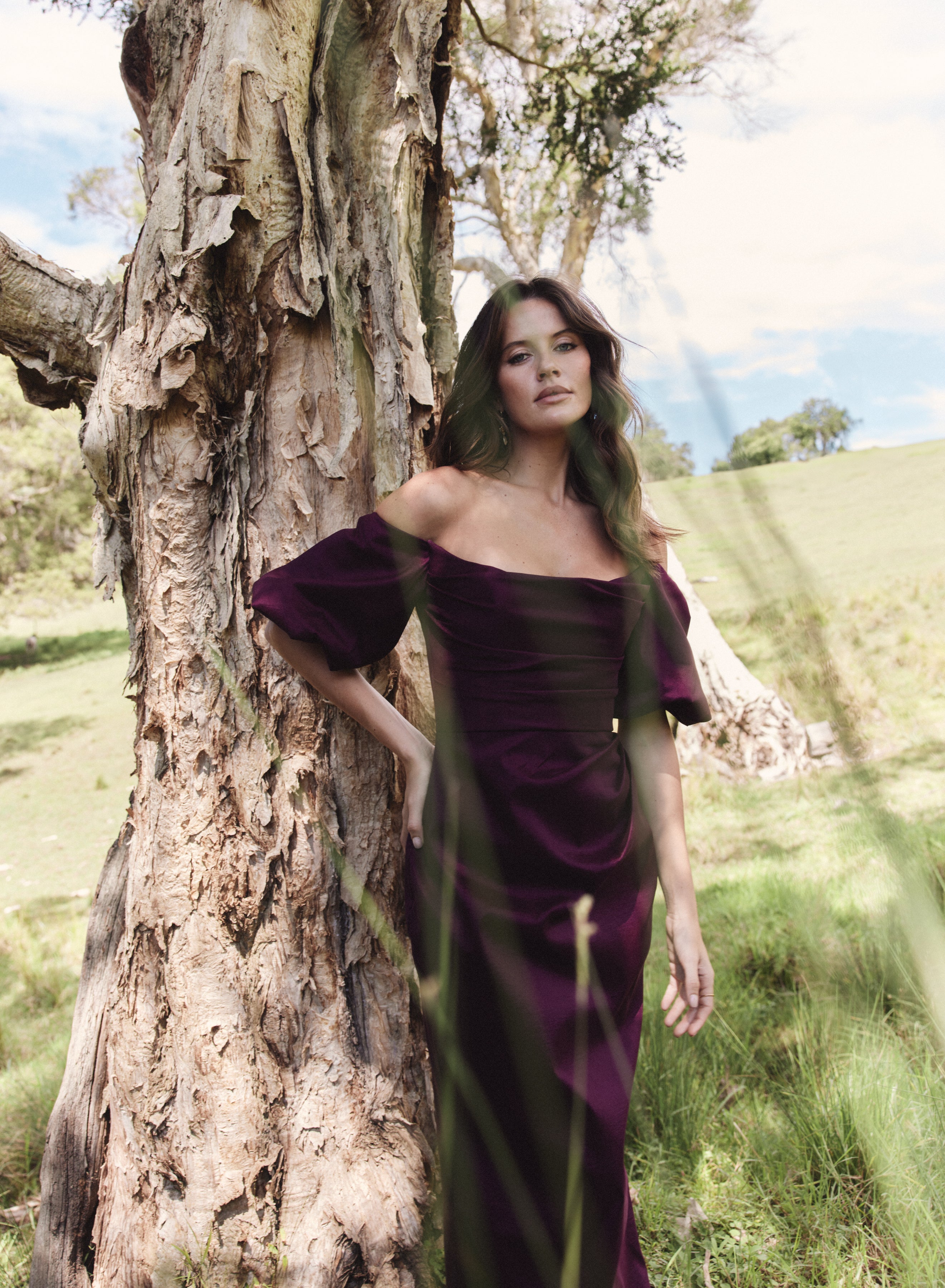 plum